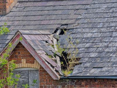 Professional emergency water extraction services services in Lakeland - water damage restoration service